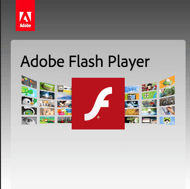 Wieder einmal der Adobe Flash Player!
