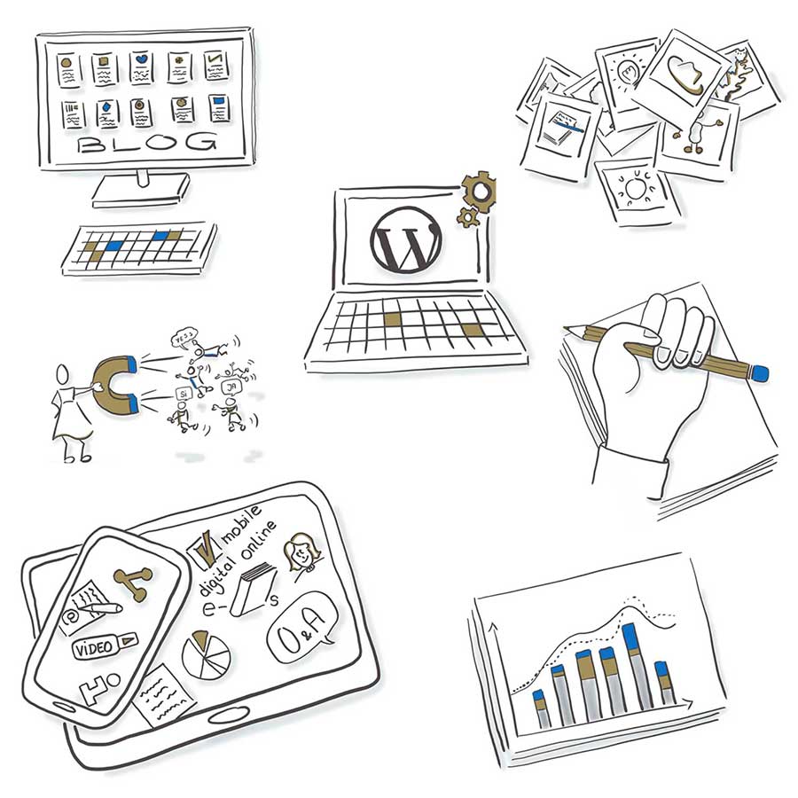 7 Schritte zu deiner WordPress S